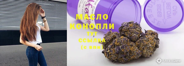 ГАЛЛЮЦИНОГЕННЫЕ ГРИБЫ Дмитриев