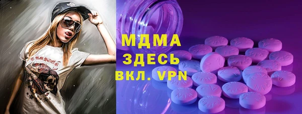 ГАЛЛЮЦИНОГЕННЫЕ ГРИБЫ Дмитриев