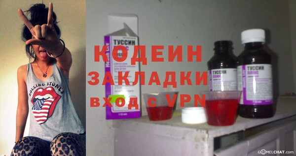 ГАЛЛЮЦИНОГЕННЫЕ ГРИБЫ Дмитриев