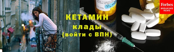 ГАЛЛЮЦИНОГЕННЫЕ ГРИБЫ Дмитриев