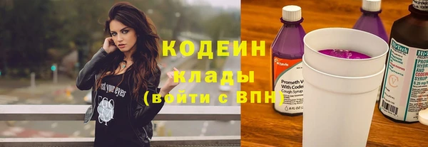 ГАЛЛЮЦИНОГЕННЫЕ ГРИБЫ Дмитриев