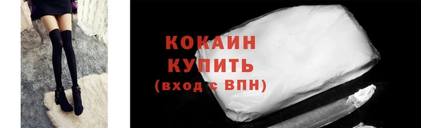 ГАЛЛЮЦИНОГЕННЫЕ ГРИБЫ Дмитриев