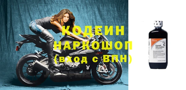 ГАЛЛЮЦИНОГЕННЫЕ ГРИБЫ Дмитриев