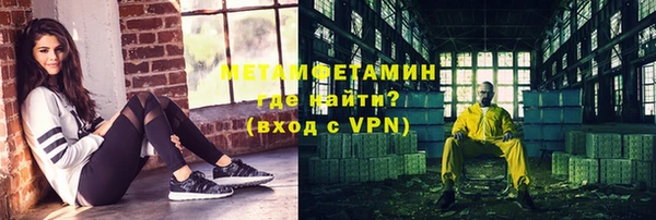 ГАЛЛЮЦИНОГЕННЫЕ ГРИБЫ Дмитриев