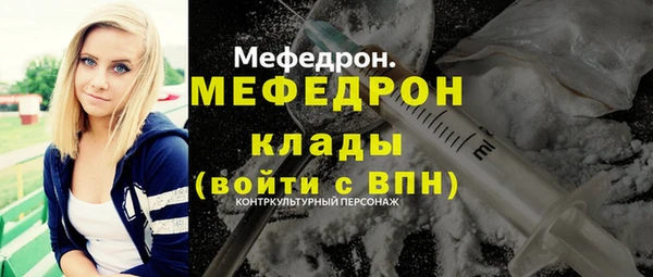 ГАЛЛЮЦИНОГЕННЫЕ ГРИБЫ Дмитриев