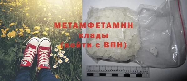 ГАЛЛЮЦИНОГЕННЫЕ ГРИБЫ Дмитриев