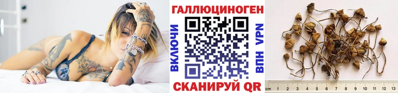 Псилоцибиновые грибы мицелий  Купить закладки  Оренбург 